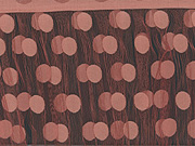 Sheer Curtains, Aphrodite Sheer Curtains In Eight Colors by Le Vele