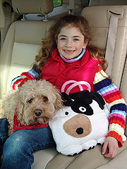 Dog Girl In Car With Carry Along
