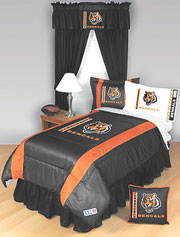 Side Line of Cincinnati Bengals